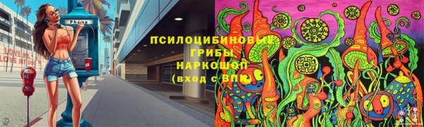 СК Магадан